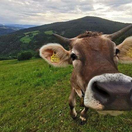 Alpengasthof Fernblick Mönichkirchen Екстериор снимка