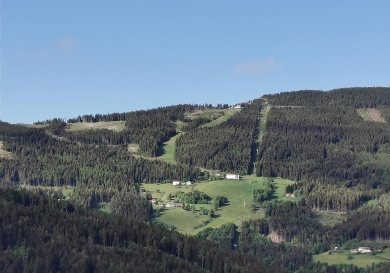 Alpengasthof Fernblick Mönichkirchen Екстериор снимка