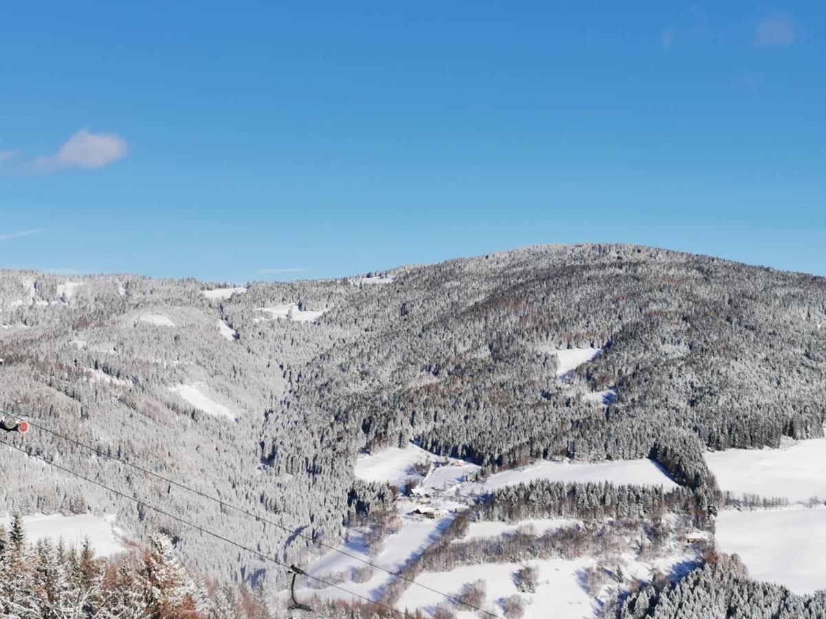 Alpengasthof Fernblick Mönichkirchen Екстериор снимка