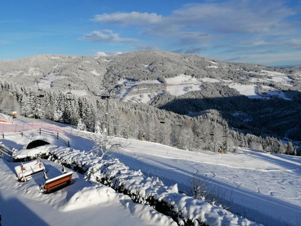 Alpengasthof Fernblick Mönichkirchen Екстериор снимка