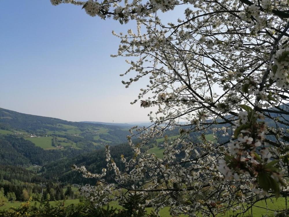 Alpengasthof Fernblick Mönichkirchen Екстериор снимка