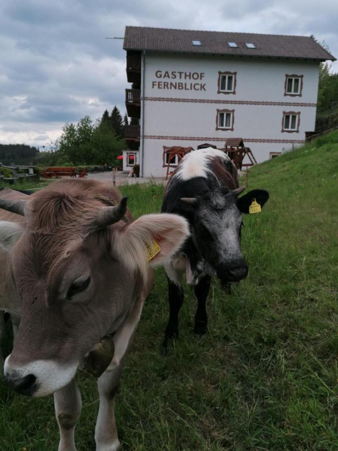 Alpengasthof Fernblick Mönichkirchen Екстериор снимка